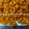Hot Selling Best Preserved Golden Berry Dried Physalis From China