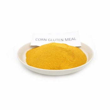 Hot Sale Corn Gluten Meal Protein Powder