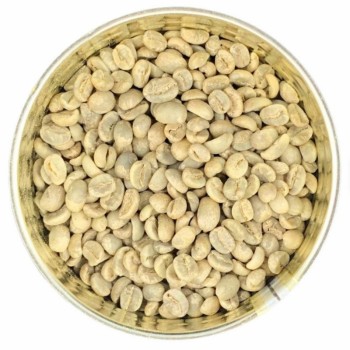 Arabica Robusta Green Coffee Beans Wholesale Export Coffee Bean