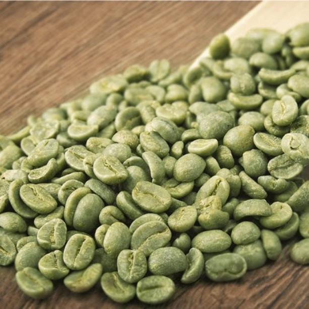 Arabica Robusta Green Coffee Beans Wholesale Export Coffee Bean