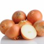 Fresh Yellow Onion From China Supplier