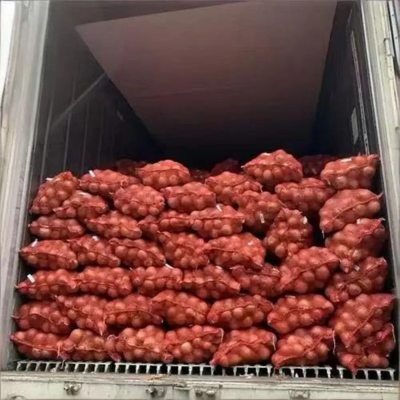 Fresh Yellow Onion From China Supplier