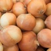 Fresh Yellow Onion From China Supplier