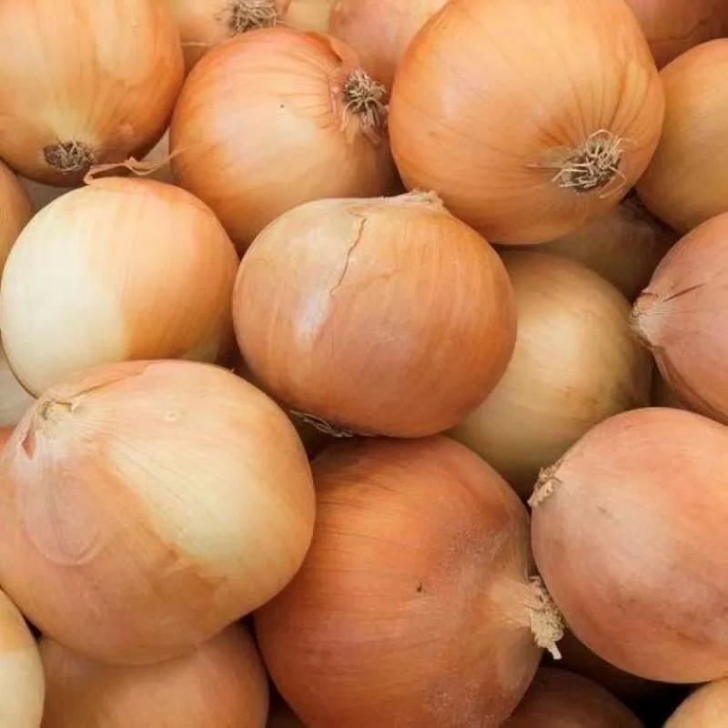 Fresh Yellow Onion From China Supplier
