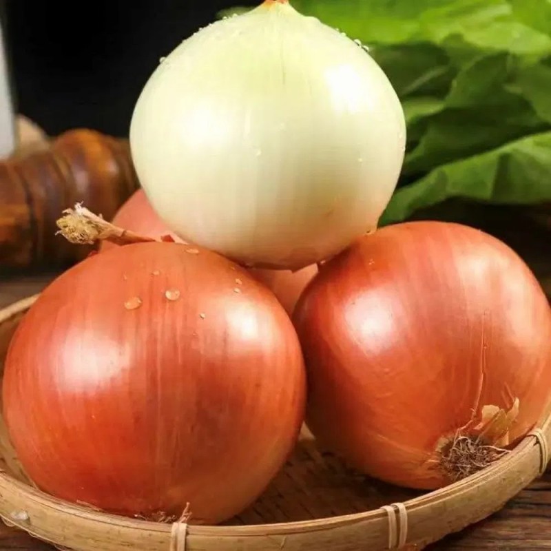 Fresh Yellow Onion From China Supplier
