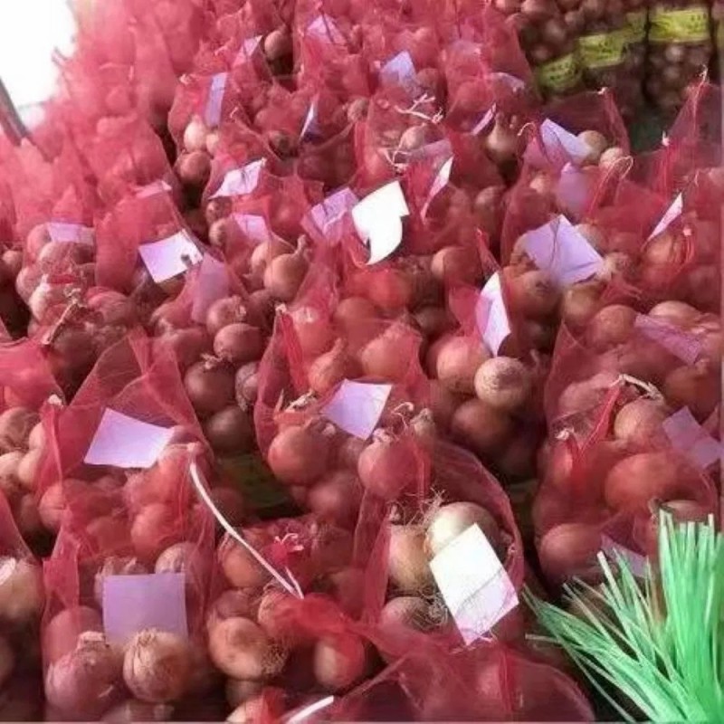 Fresh Yellow Onion From China Supplier