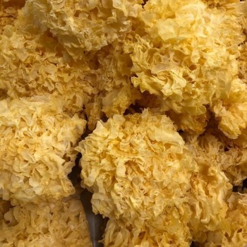 Organic Dried Snow Fungus: Culinary Treasure for Health Enthusiasts