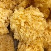 Organic Dried Snow Fungus: Culinary Treasure for Health Enthusiasts