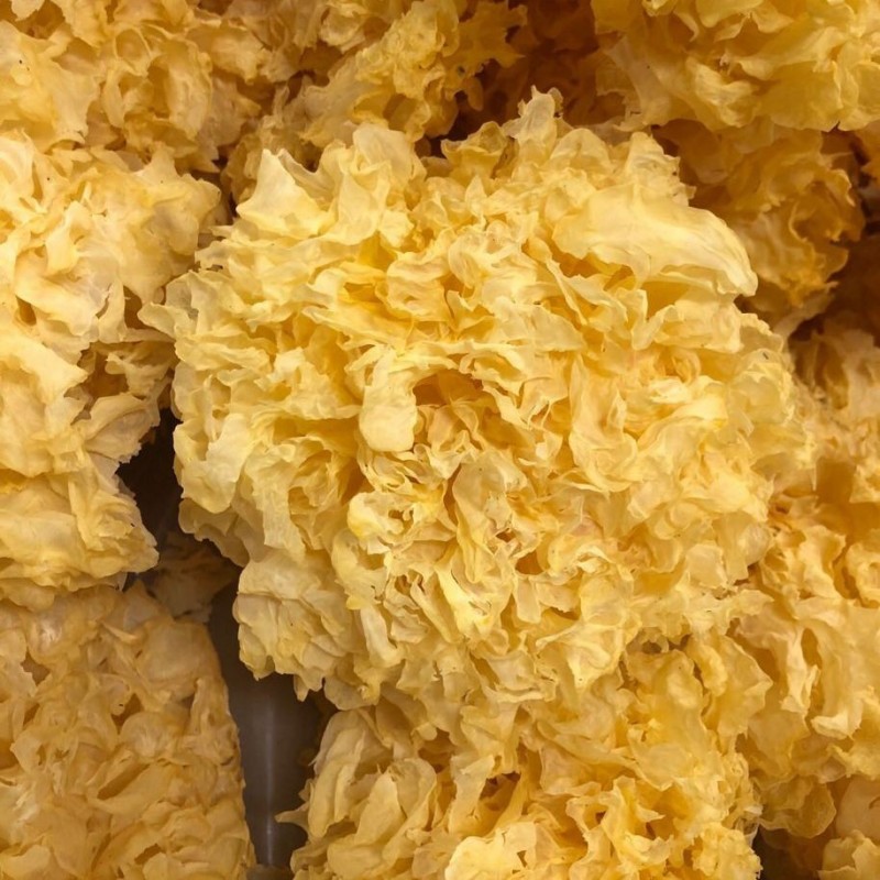 Organic Dried Snow Fungus: Culinary Treasure for Health Enthusiasts