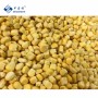 Sinocharm Halal Organic IQF Frozen Yellow Sweet Corn Kernel