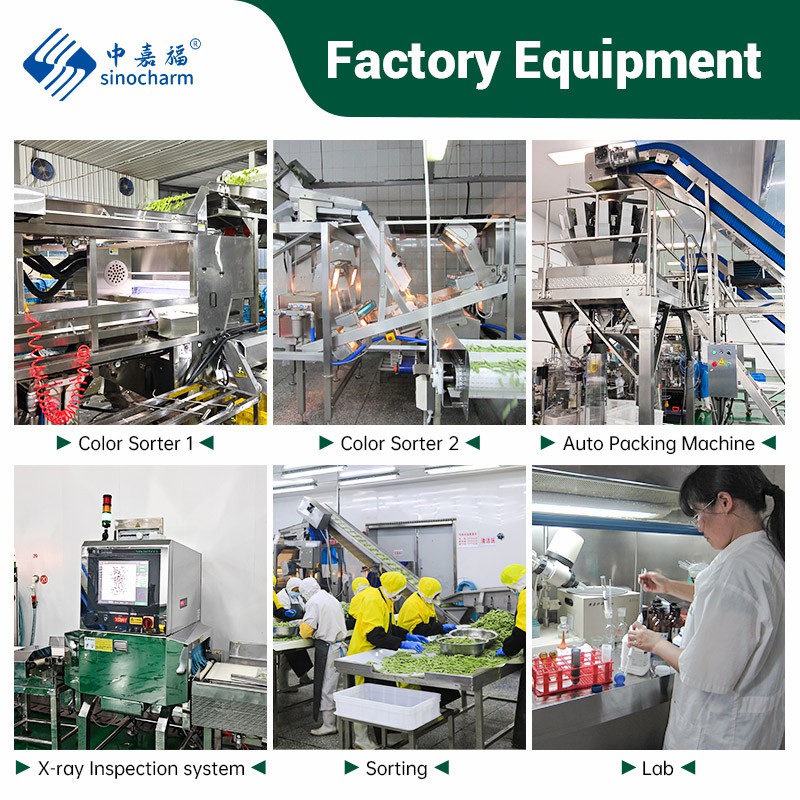 Sinocharm Halal Organic IQF Frozen Yellow Sweet Corn Kernel