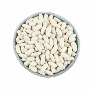 Wholesale Natural White Kidney Bean / Large White Kidney Beans