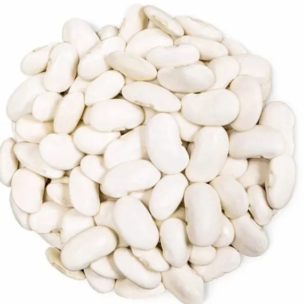 Wholesale Natural White Kidney Bean / Large White Kidney Beans