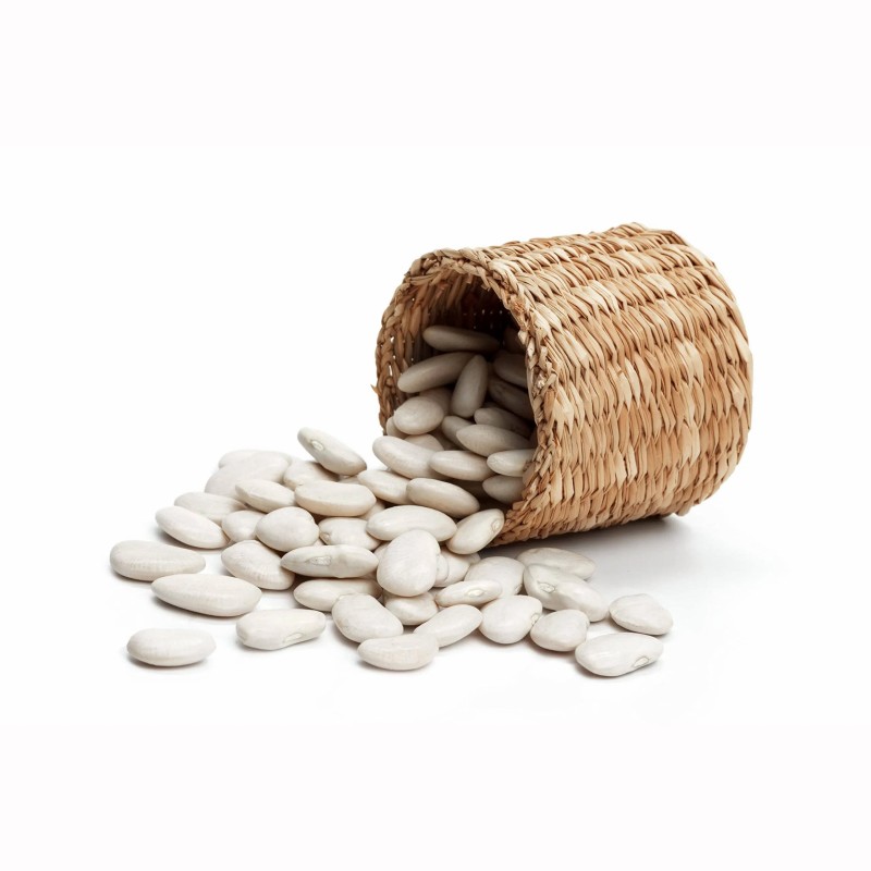 Wholesale Natural White Kidney Bean / Large White Kidney Beans