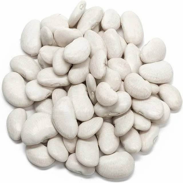 Wholesale Natural White Kidney Bean / Large White Kidney Beans