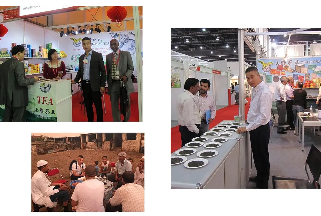 Factory Wholesale OEM Customize Cheap Chunmee 9371 China Green Tea for Morocco Europe