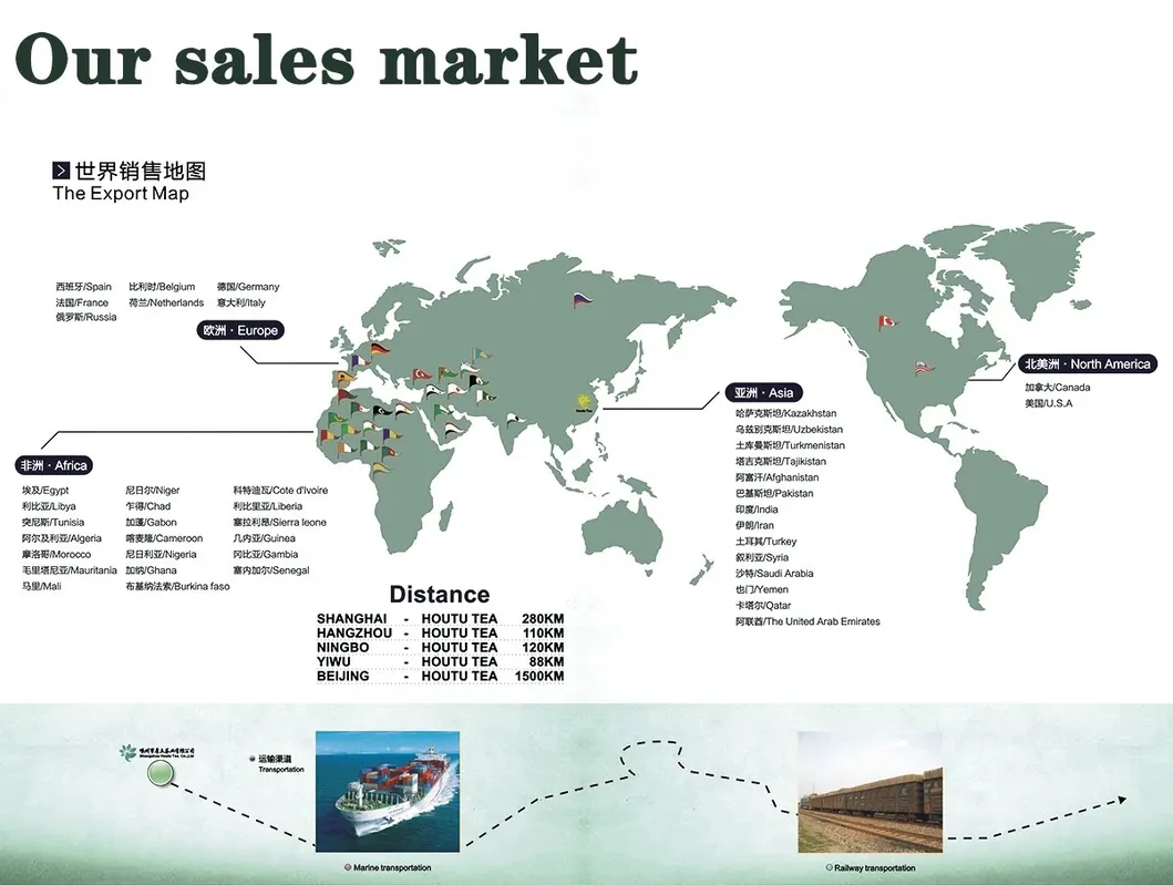 Factory Wholesale OEM Customize Cheap Chunmee 9371 China Green Tea for Morocco Europe