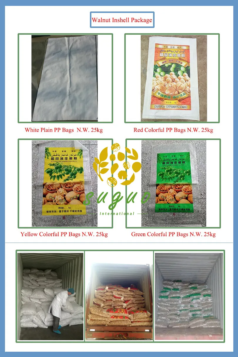 Premium Washed Inshell Walnuts Wholesale Factory Direct Supplier 185 33