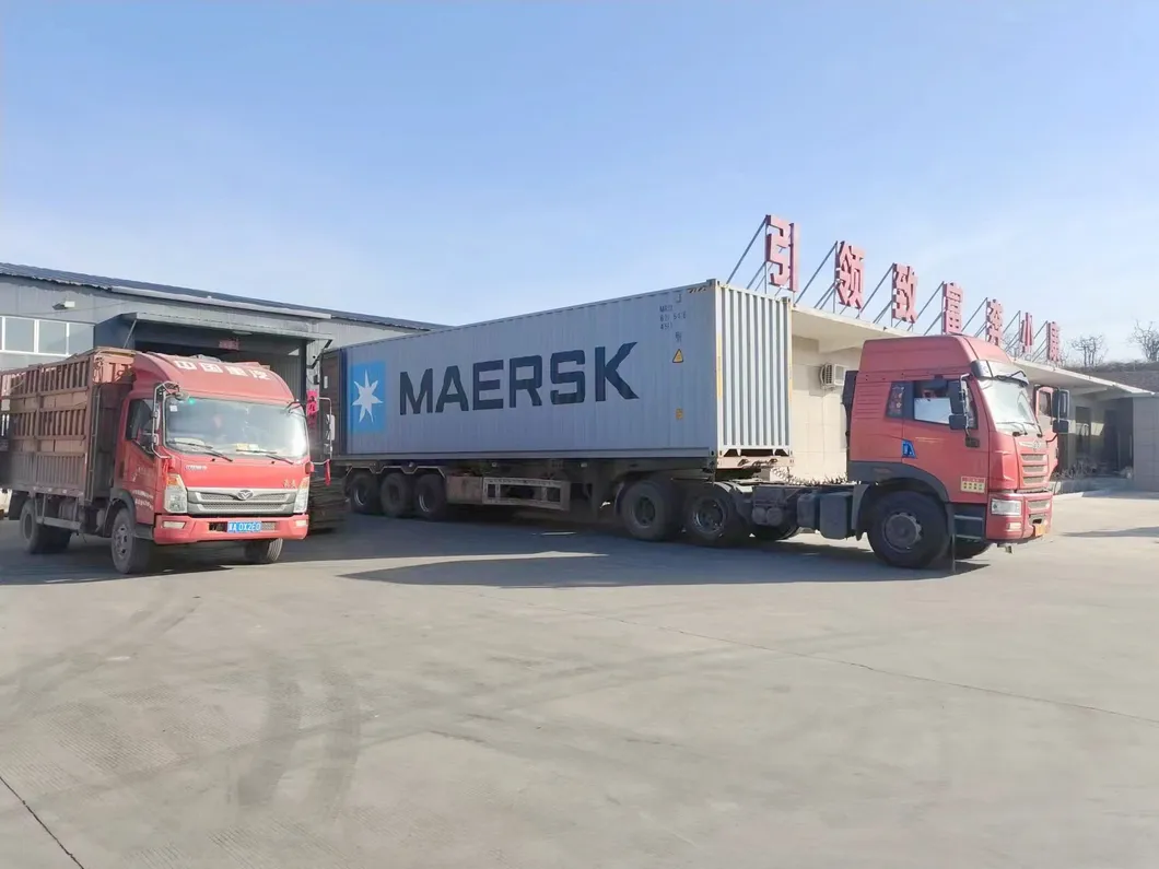 Premium Washed Inshell Walnuts Wholesale Factory Direct Supplier 185 33