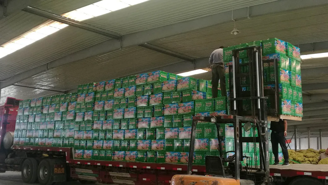 Premium Washed Inshell Walnuts Wholesale Factory Direct Supplier 185 33