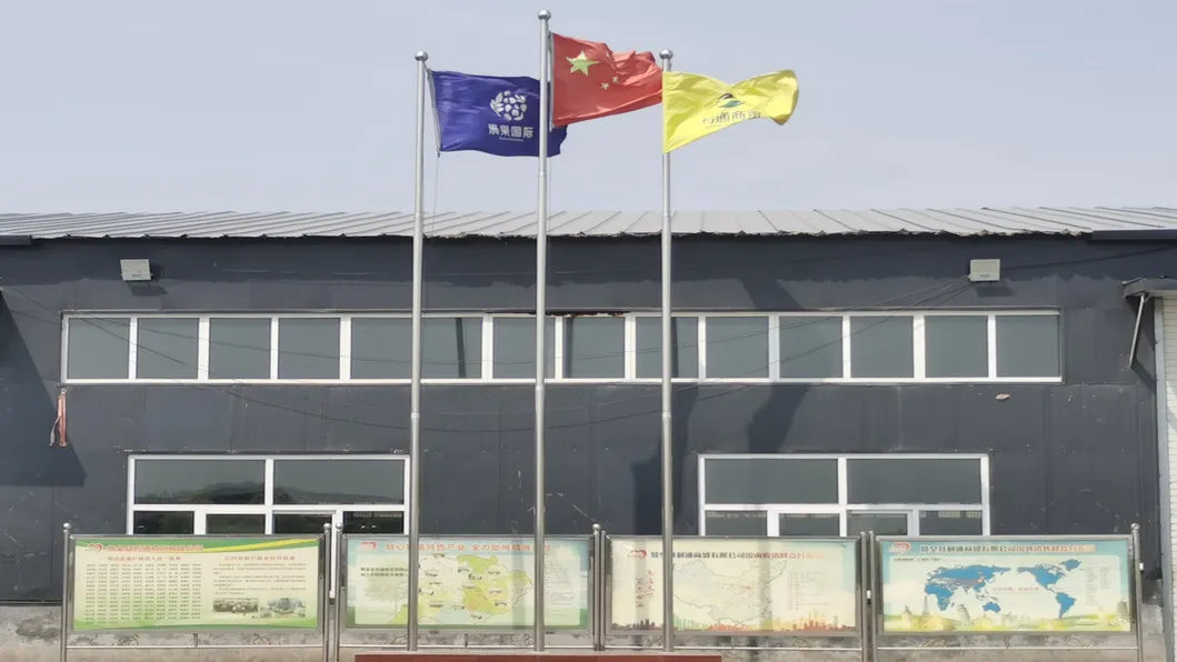 Premium Washed Inshell Walnuts Wholesale Factory Direct Supplier 185 33