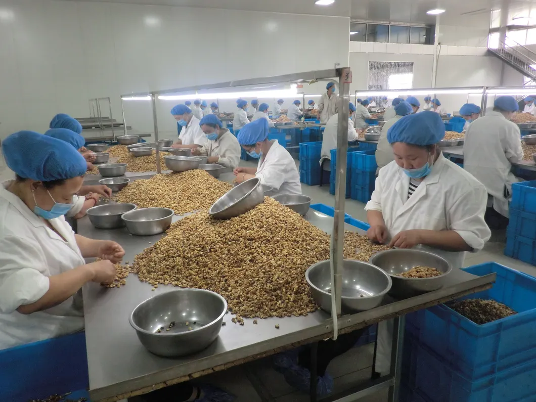 Premium Washed Inshell Walnuts Wholesale Factory Direct Supplier 185 33