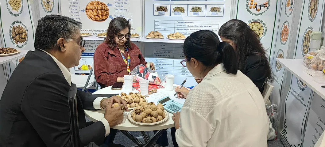 Premium Washed Inshell Walnuts Wholesale Factory Direct Supplier 185 33