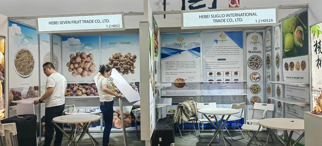 Premium Washed Inshell Walnuts Wholesale Factory Direct Supplier 185 33