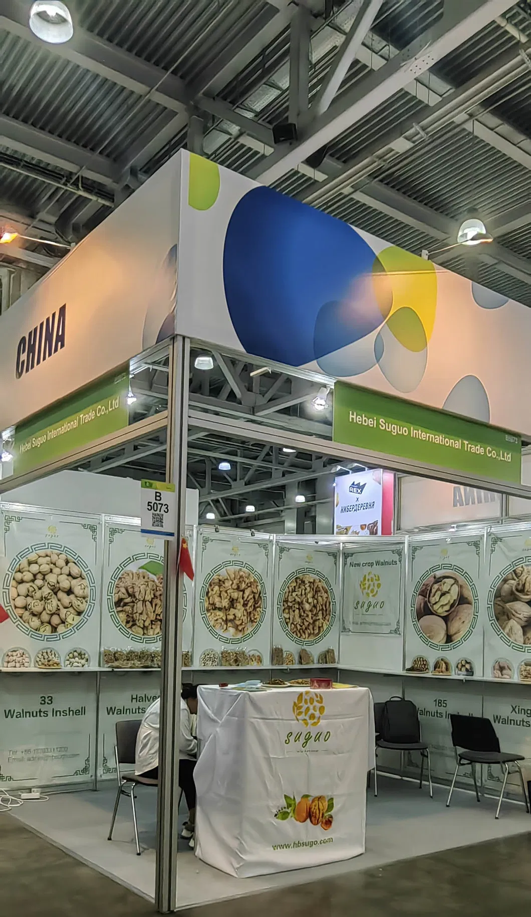 Premium Washed Inshell Walnuts Wholesale Factory Direct Supplier 185 33