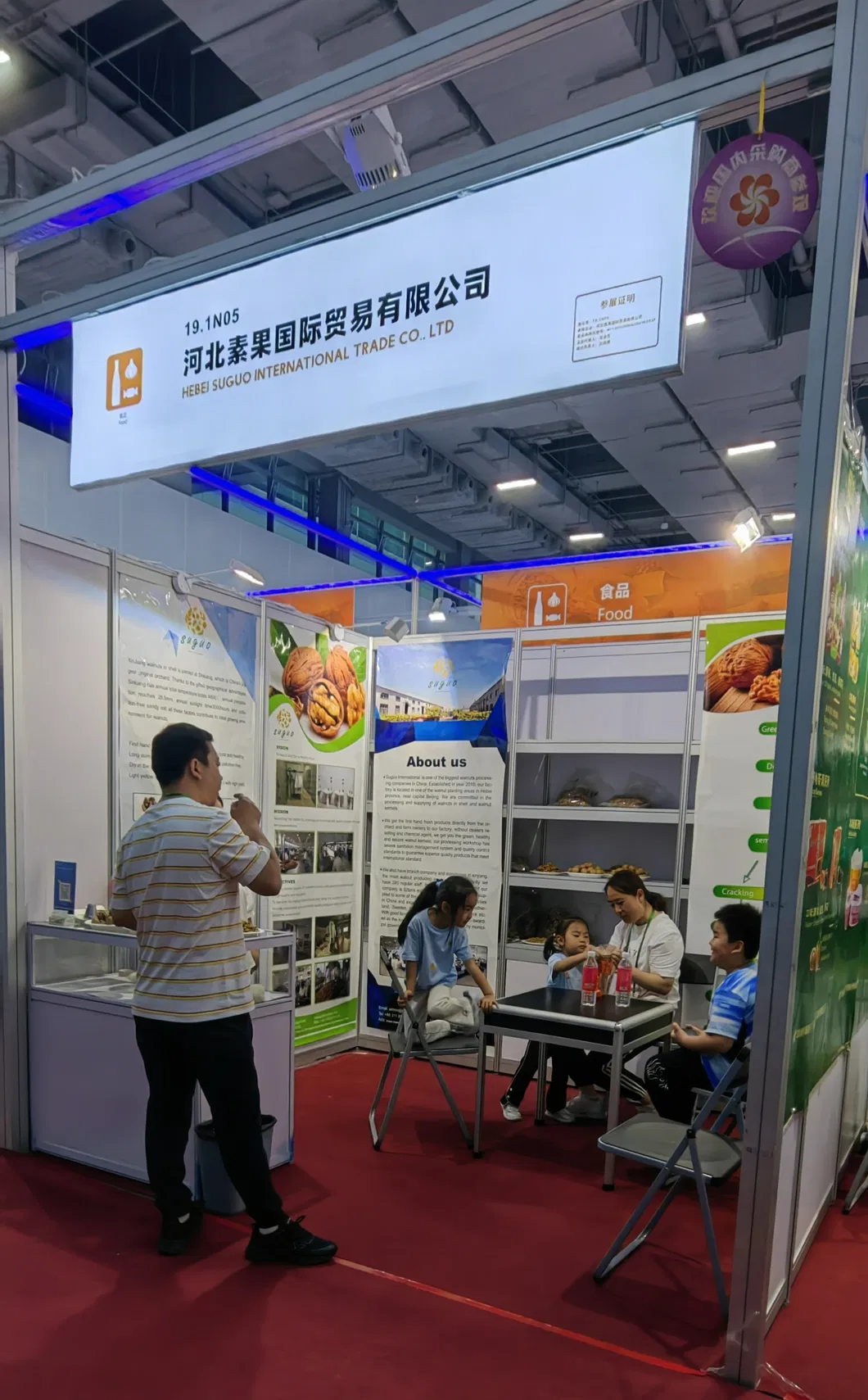 Premium Washed Inshell Walnuts Wholesale Factory Direct Supplier 185 33