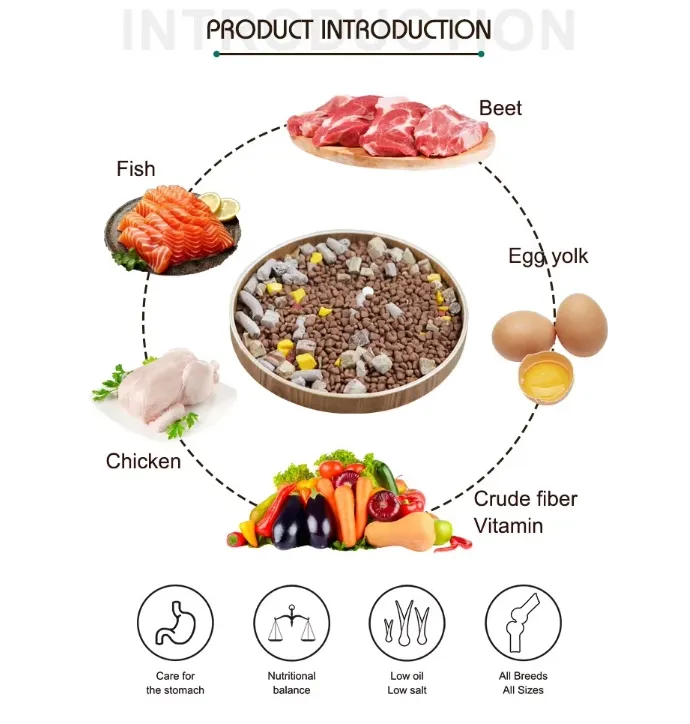 Premium Nutritious Animal Feed Meal for Healthy Poultry Growth