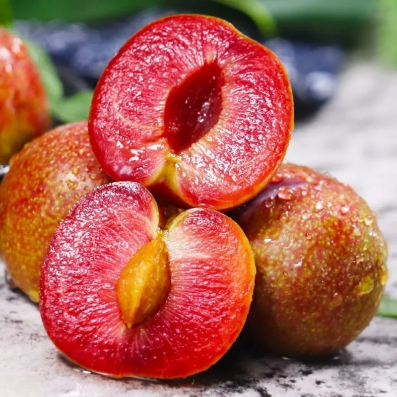 Watermelon Sweet Fresh and Delicious Ideal for Desserts