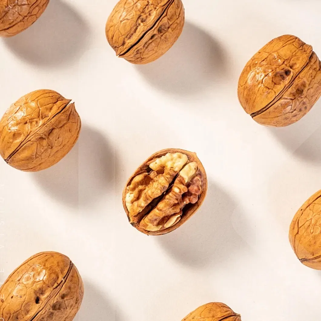Chinese Inshell 185/33/Xiner 2 Walnuts Wholesale Price