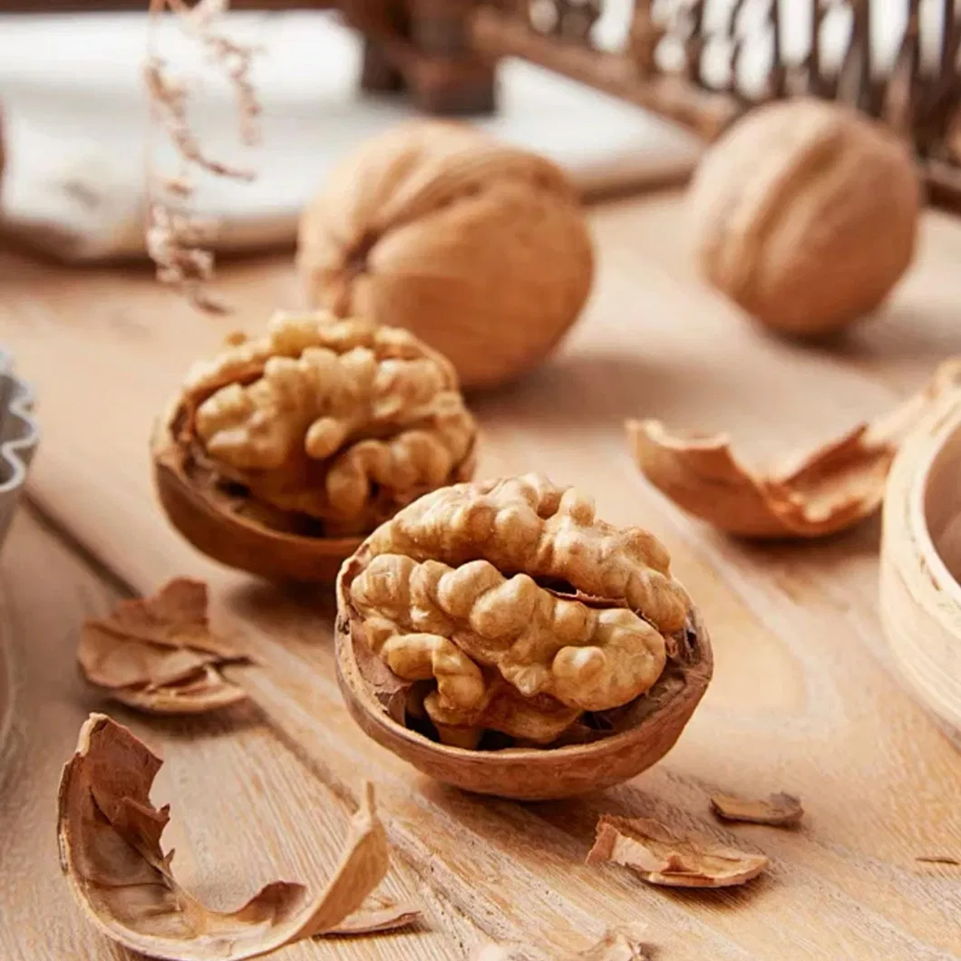 Chinese Inshell 185/33/Xiner 2 Walnuts Wholesale Price