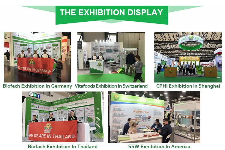 GMP Factory Supply Fresh Royal Jelly