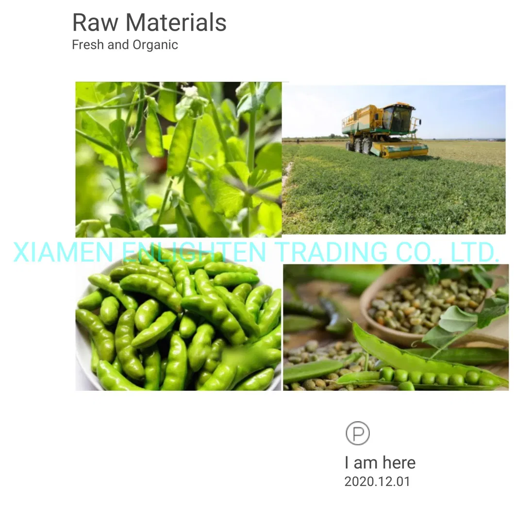 Canned Cultivated Green Pea in Brine