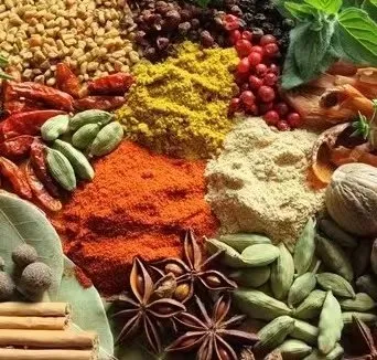 Savory 30g BBQ Spice Mix for Authentic Halal Asian Cuisine Especiarias E Temperos