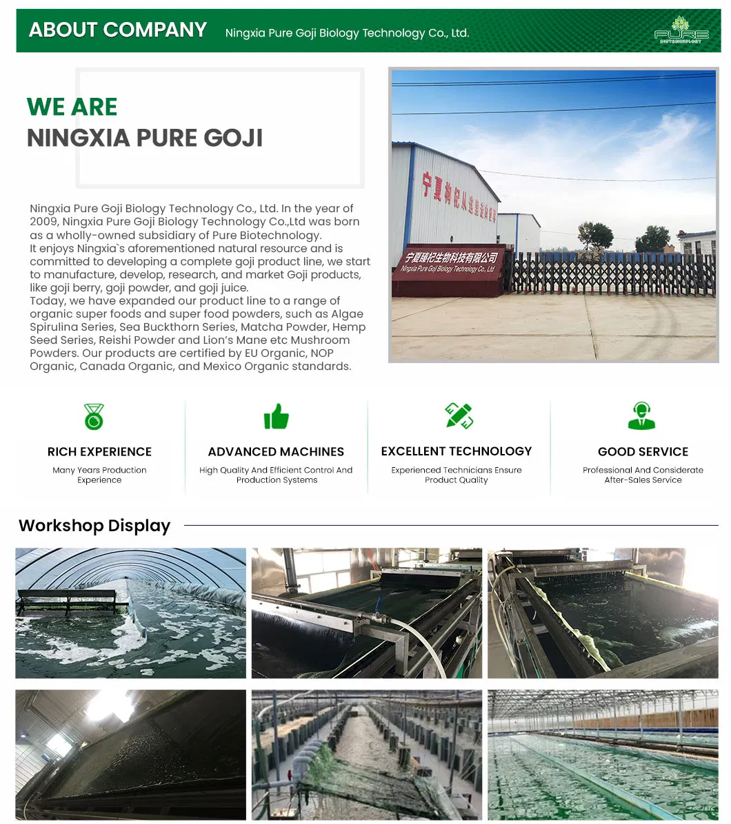 Pure Nutritional Spirulina Supplement Tablets for Enhanced Health Benefits