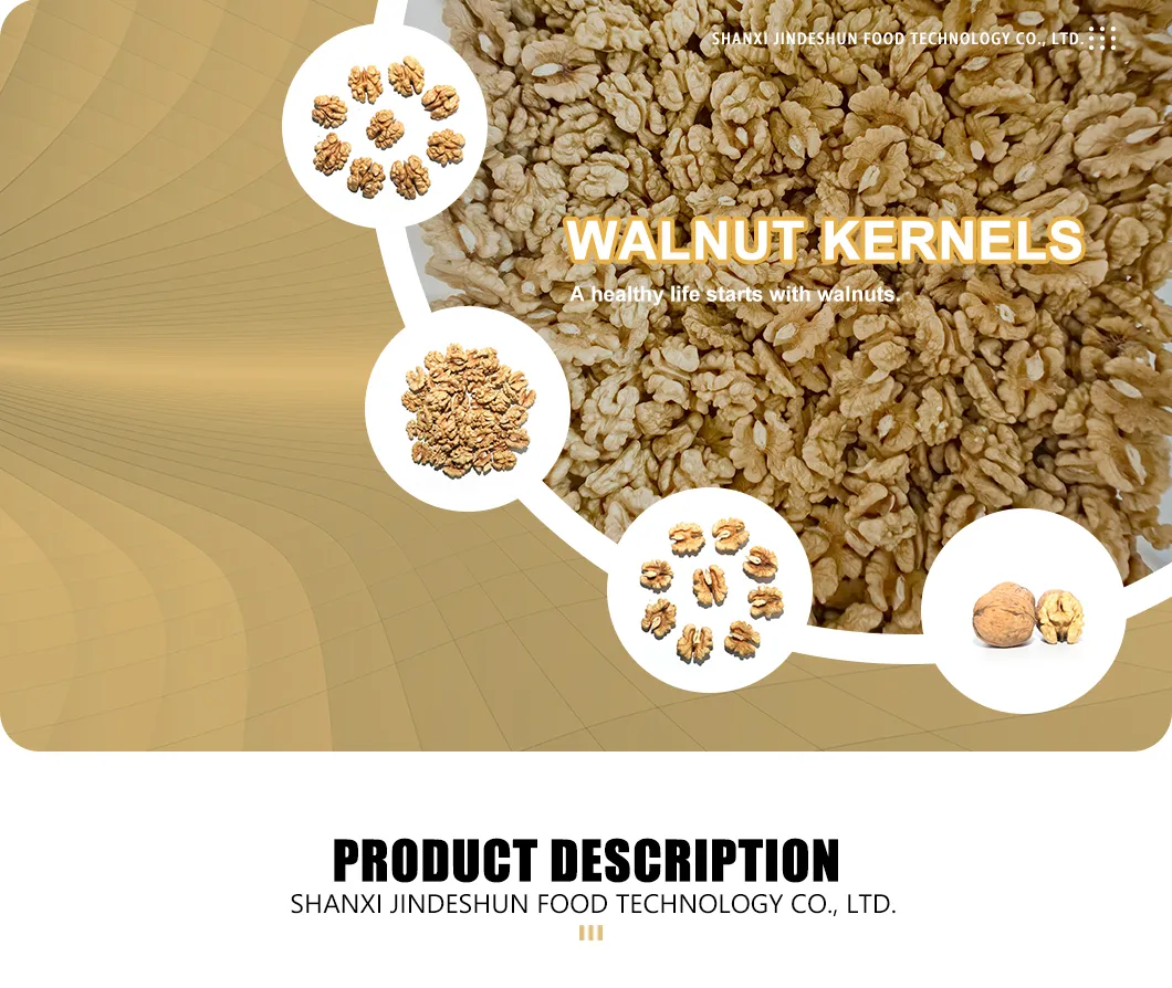 High-Protein Low-Fat Healthy Walnuts Xinfeng Walnut Kernels