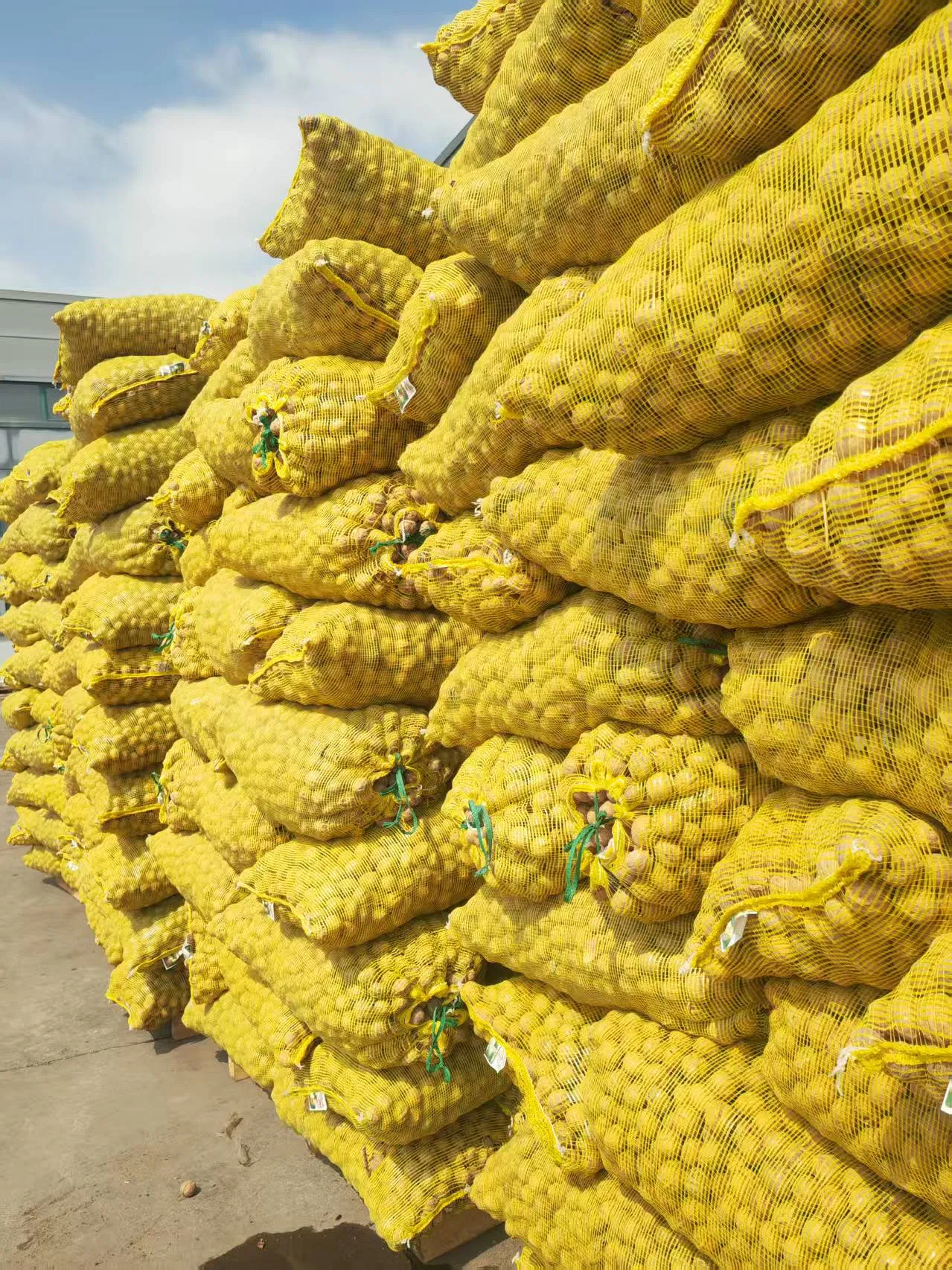 High-Protein Low-Fat Healthy Walnuts Xinfeng Walnut Kernels