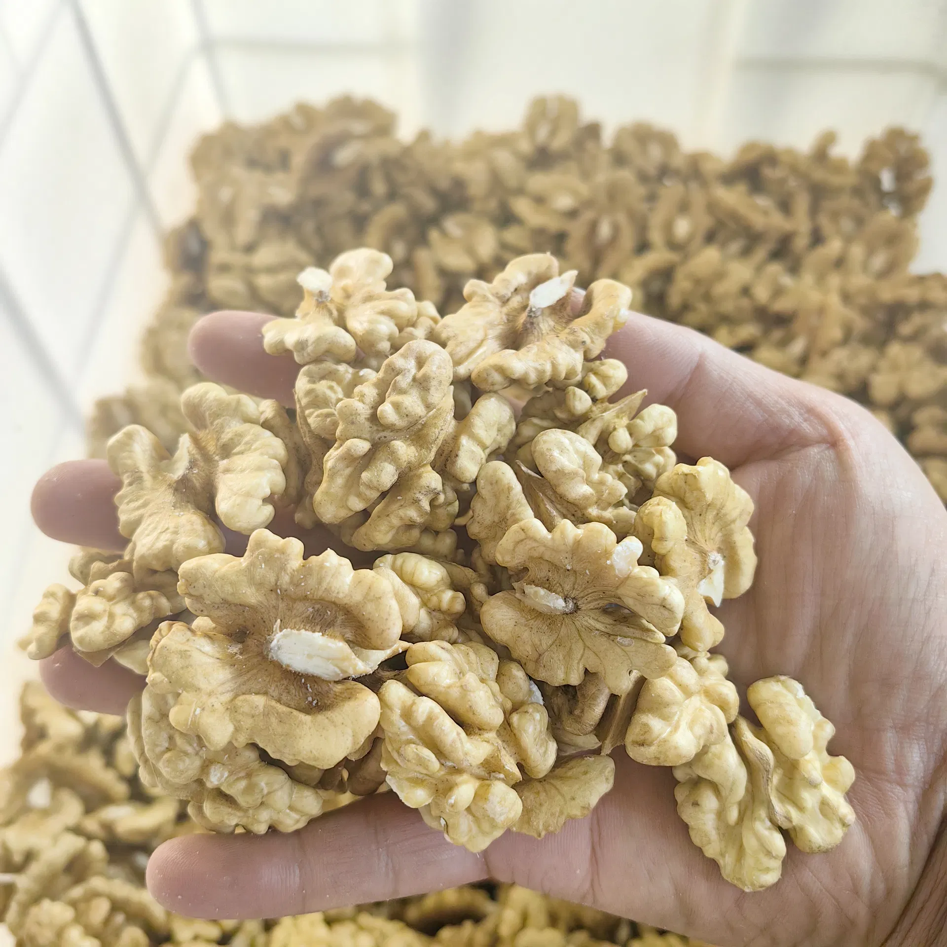 High-Protein Low-Fat Healthy Walnuts Xinfeng Walnut Kernels
