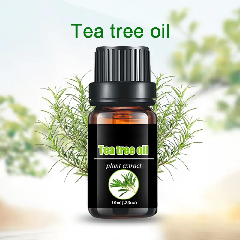 Wholesale 100% Organic Tea Tree Oil Essential Oil Manufacturer
