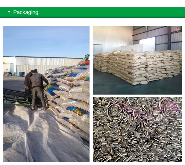 New Taste Roasted Rattan Pepper Sunflower Seeds with Cheaper Price and High Quality