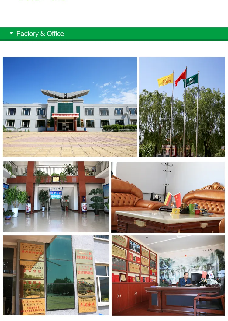 New Taste Roasted Rattan Pepper Sunflower Seeds with Cheaper Price and High Quality