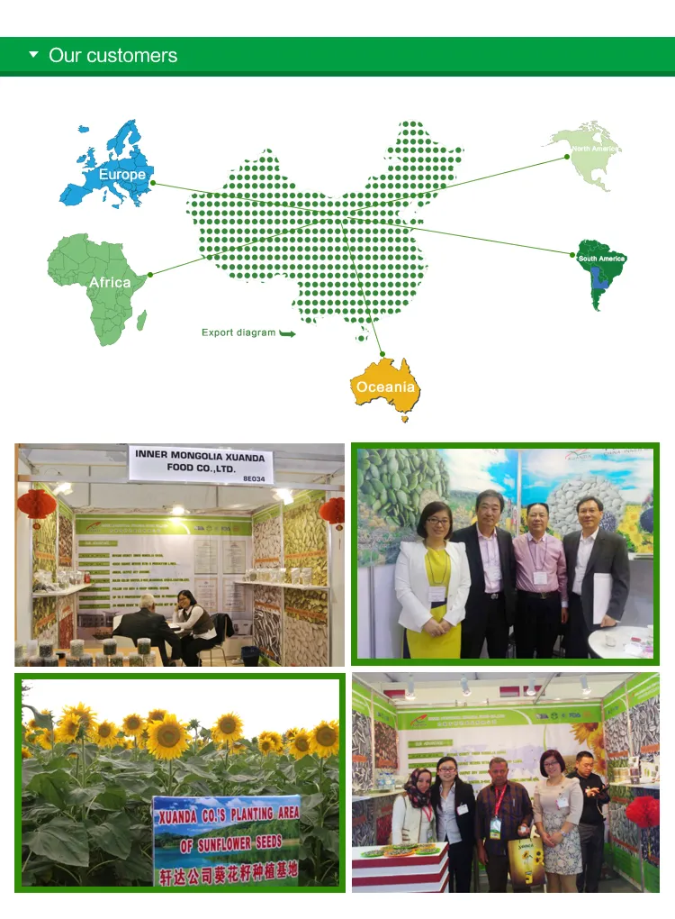 New Taste Roasted Rattan Pepper Sunflower Seeds with Cheaper Price and High Quality