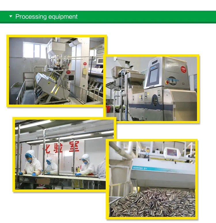 New Taste Roasted Rattan Pepper Sunflower Seeds with Cheaper Price and High Quality