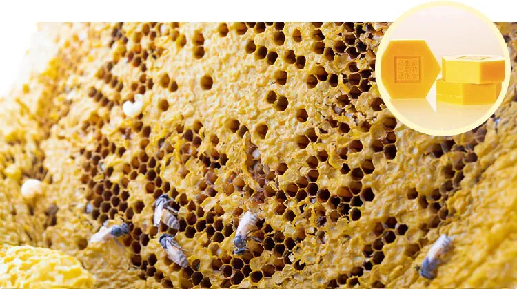 Beehall Bee Products Manufacturer High Quality Organic Bulk Bees Wax