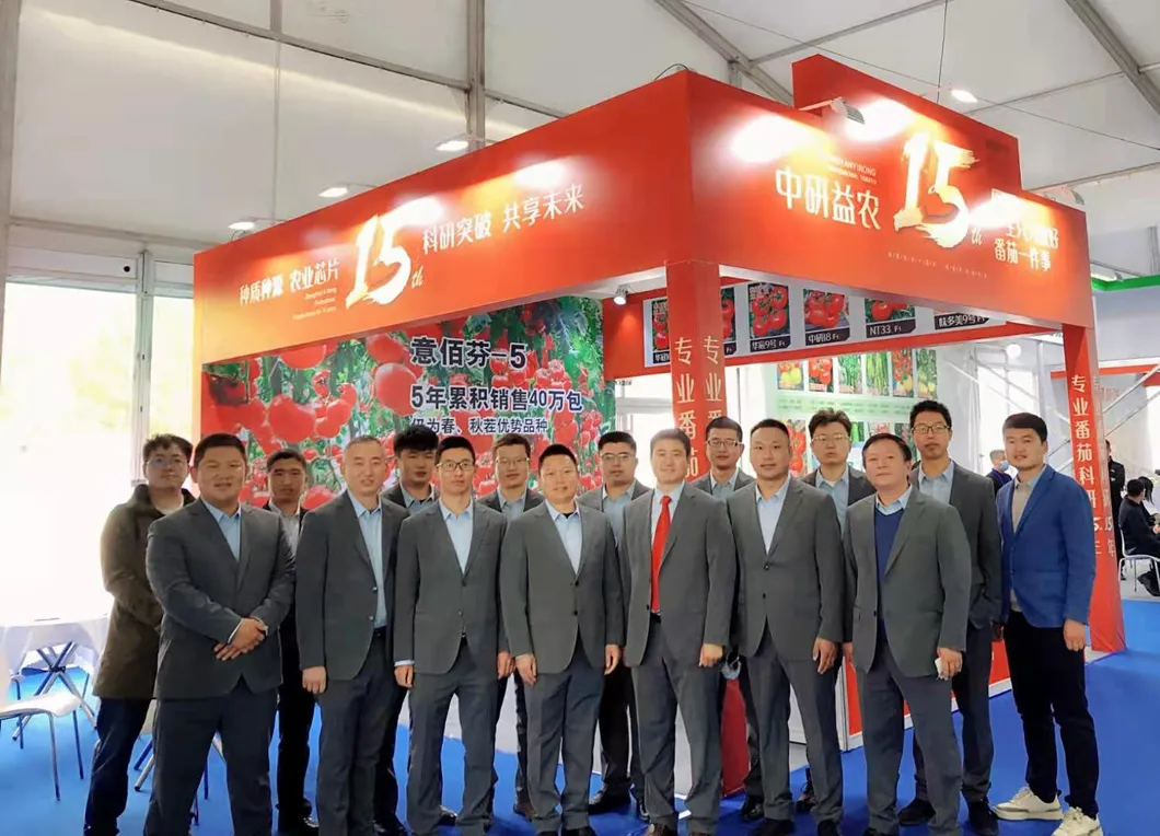 Multi Fruits High Yield Hybrid Cucumber Seeds for Growing