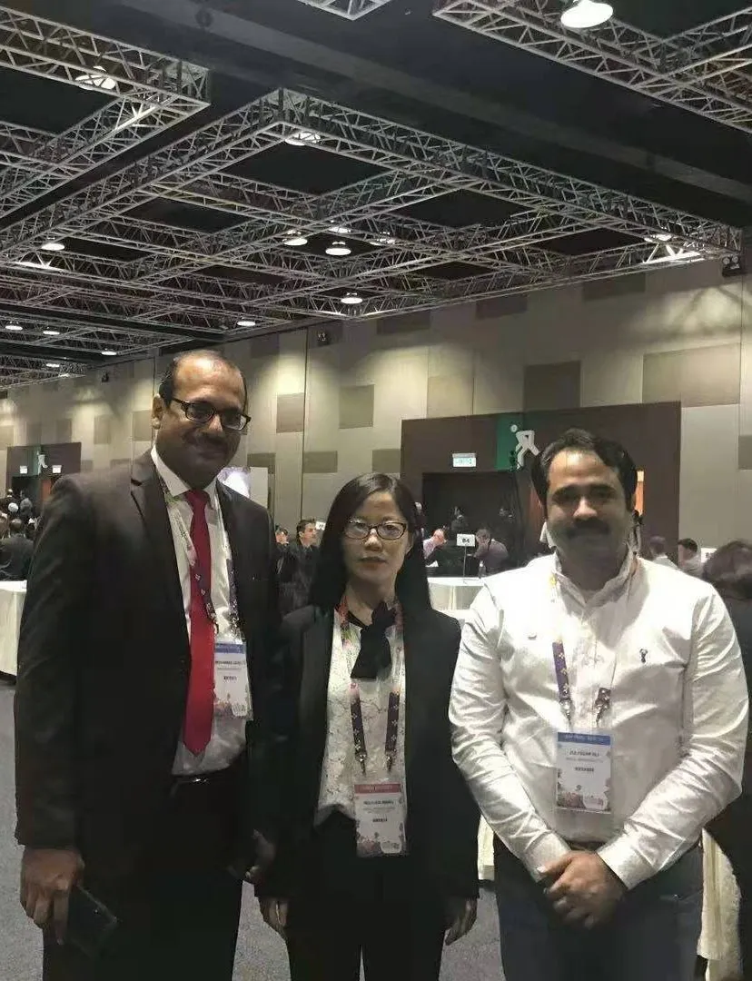 Multi Fruits High Yield Hybrid Cucumber Seeds for Growing