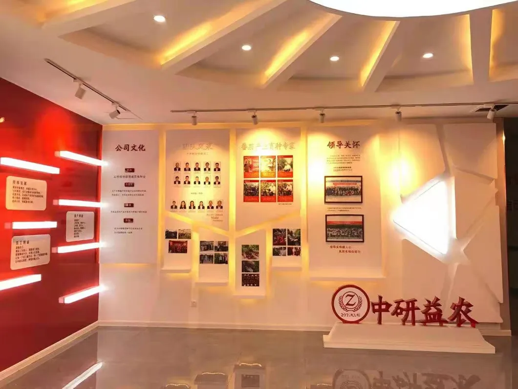 Multi Fruits High Yield Hybrid Cucumber Seeds for Growing